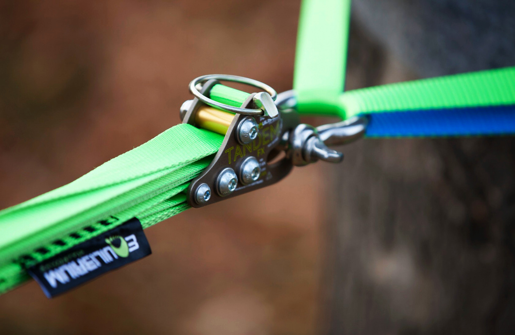 Equilibrium Slackline Zen Dragon 50 m TreePad